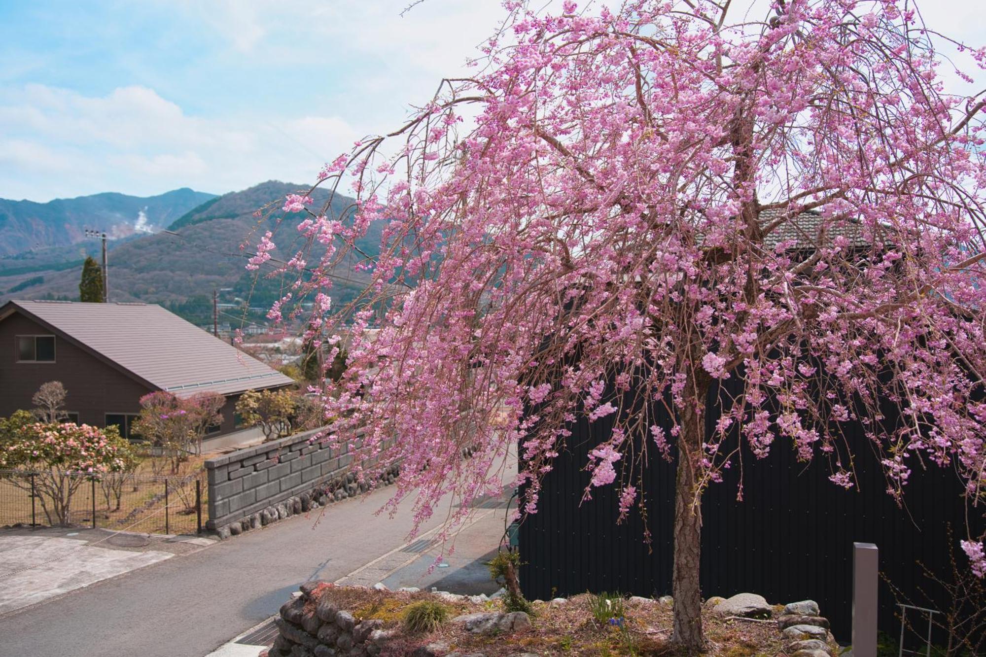 Root Hakone Hotell Eksteriør bilde